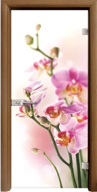 Стъклена Врата Standart Print G 13-2 Златен Дъб
