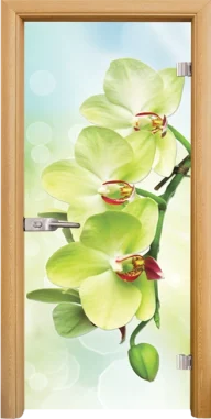 Стъклена Врата Standart Print G 13-3 Green Светъл Дъб