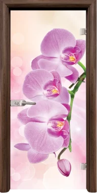 Стъклена Врата Standart Print G 13-3 Pink Орех