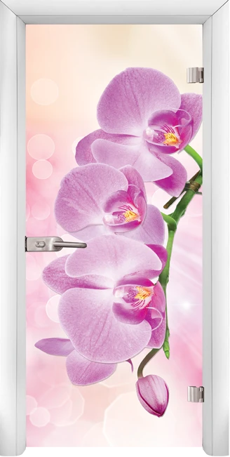 Стъклена Врата Standart Print G 13-3 Pink Бял